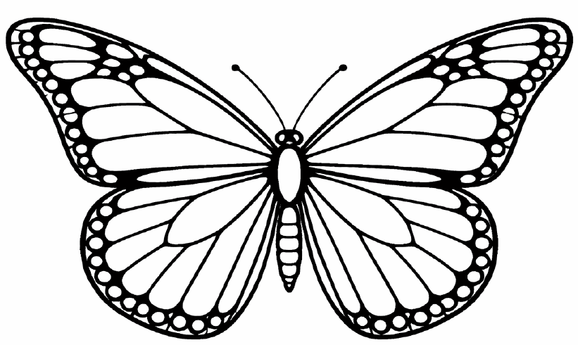 Sample coloring page preview from Flowstate Butterflies pack