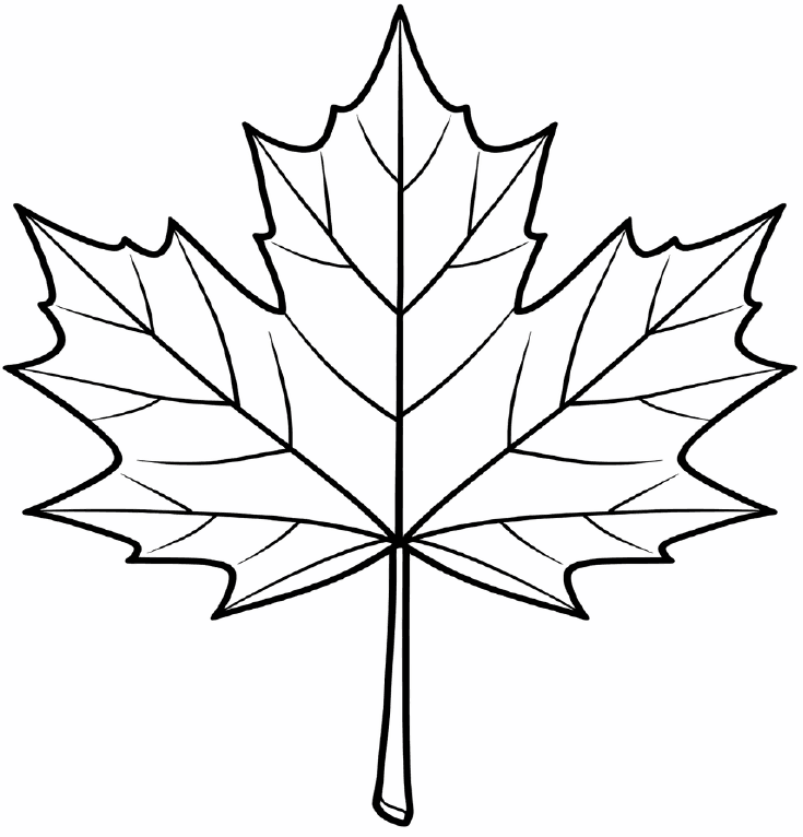 Sample coloring page preview from Flowstate Leaves pack